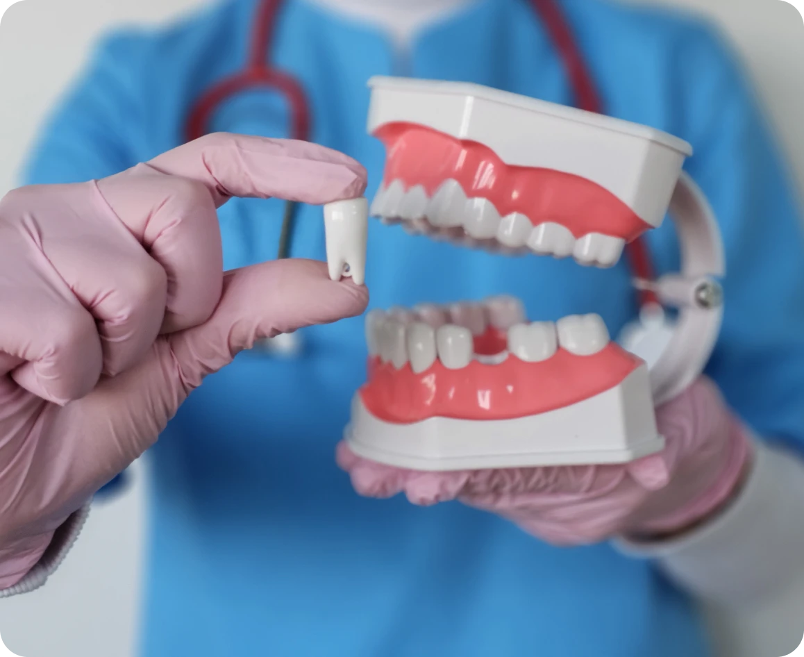 Gloved hands with dental teaching tools